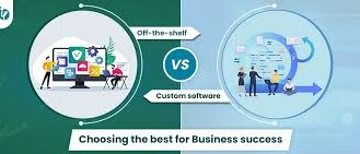 Cost vs. Value: Investing in Custom Software for Your Business